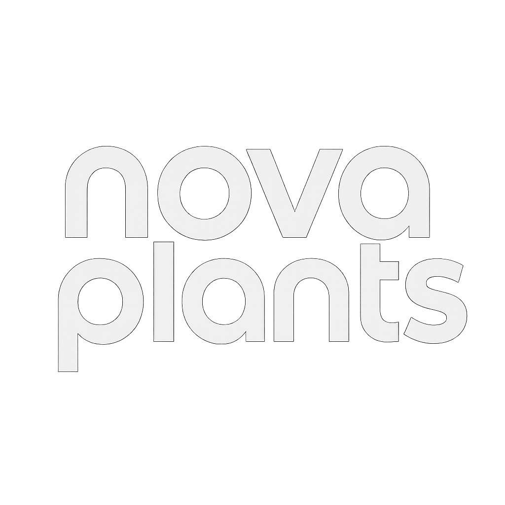Nova Plants